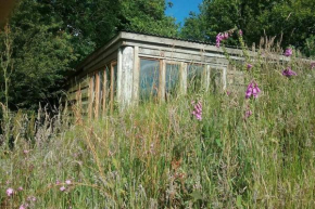 FoxesDen, Unique Eco Cabin, Dartmoor views